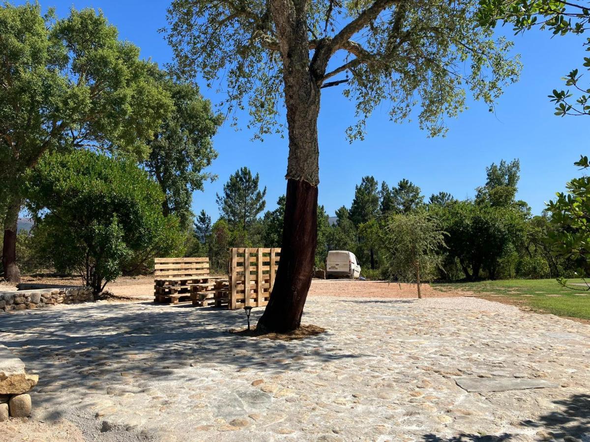 Quinta Da Meda * Coimbra